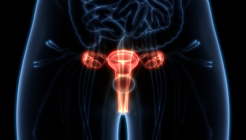 Tumor anexial femenino